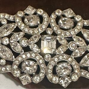 Large deco roach.  HD